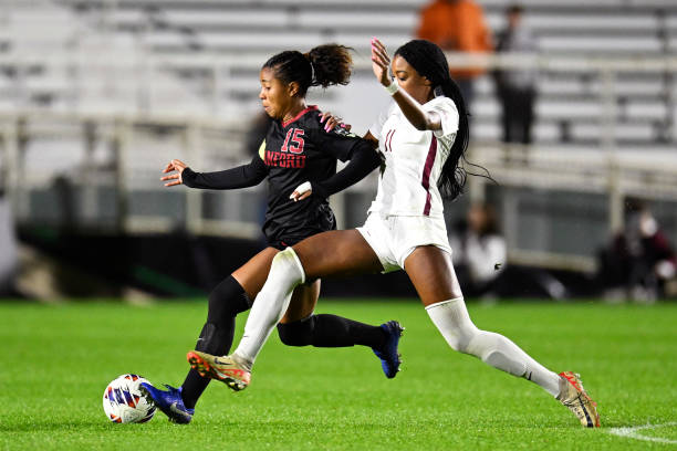 引了无数粉 引了无数粉